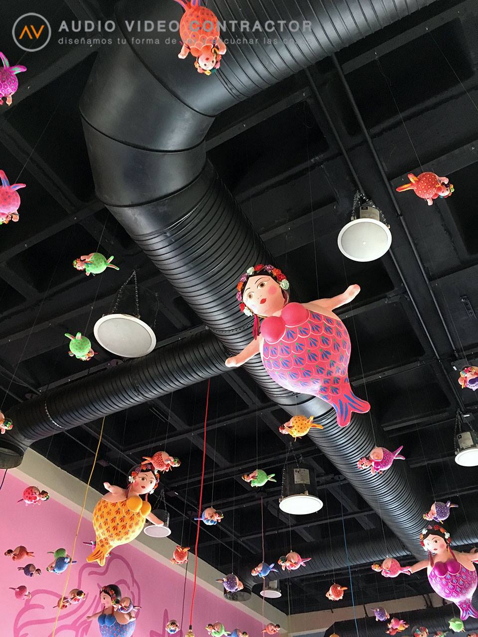 TechoSirenaEmbarazada